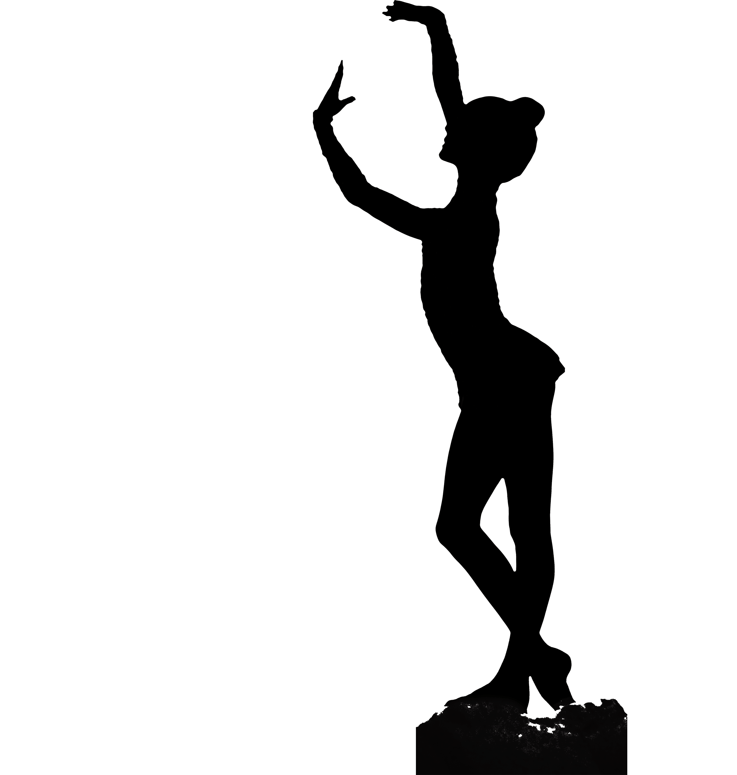 silueta-fin-min